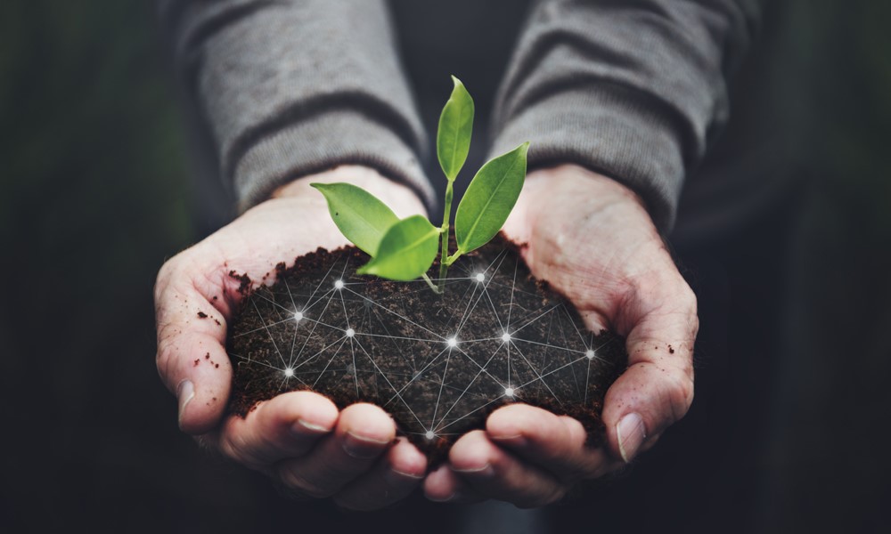 5 startups to watch in agtech