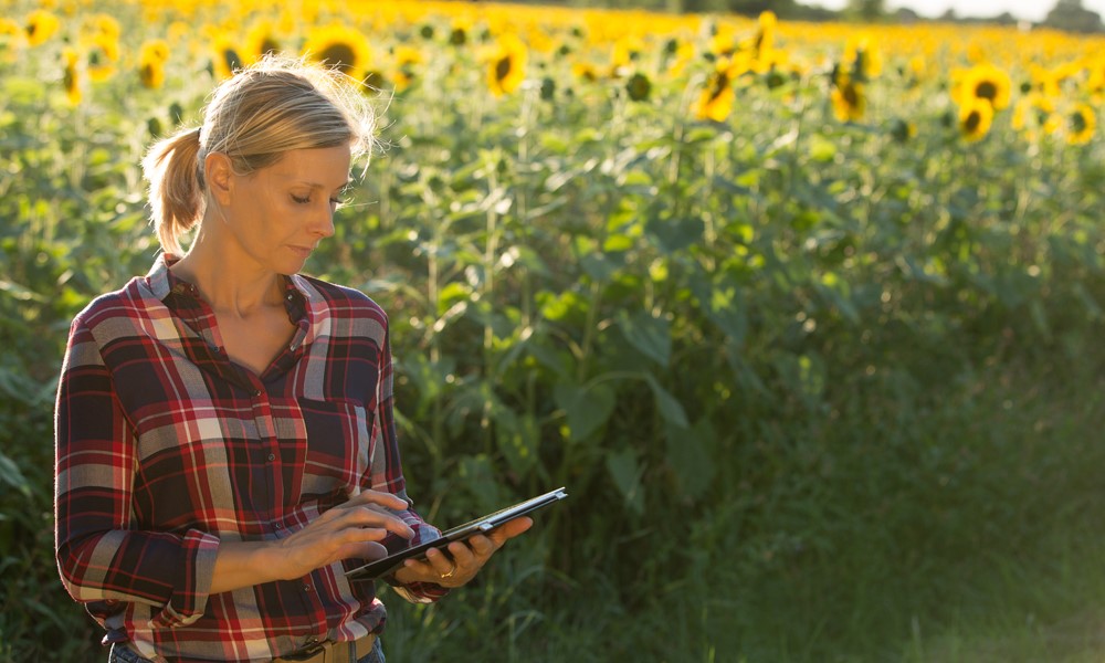 Cyberthreats and agriculture: Bolstering protection during Cybersecurity Awareness Month and beyond