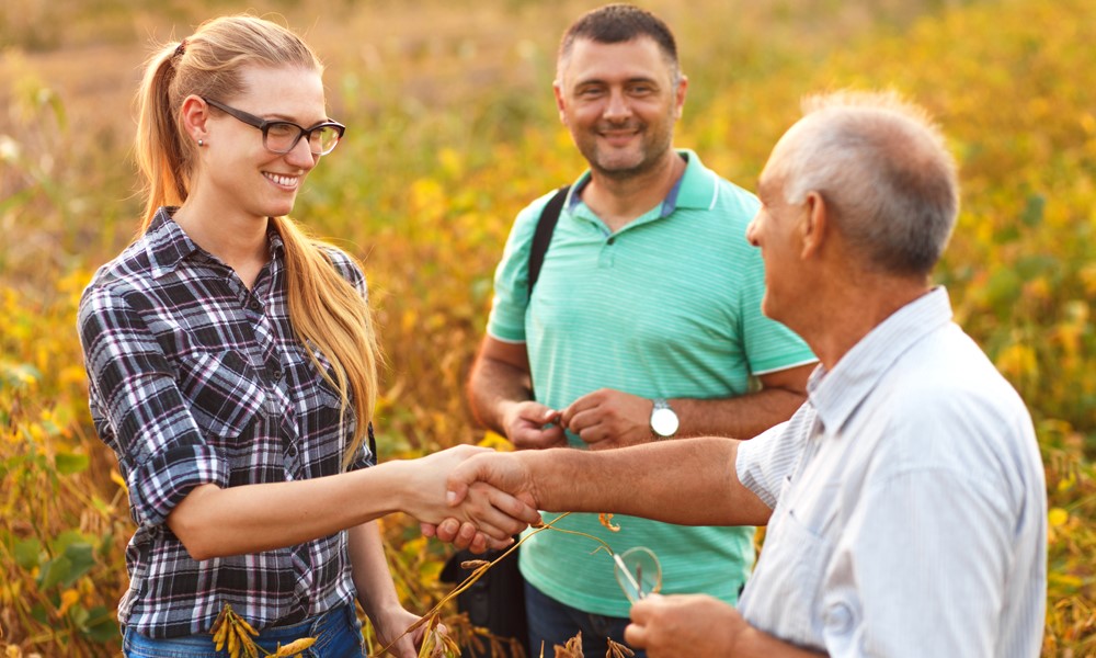 Handshake deals versus written agreements: Understanding the stakes for ag producers