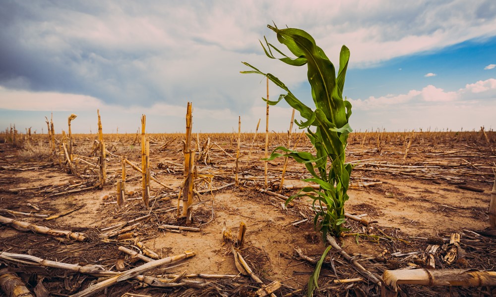 Farm Bill 2023: Don’t let growing needs for disaster relief crowd out the crop insurance program