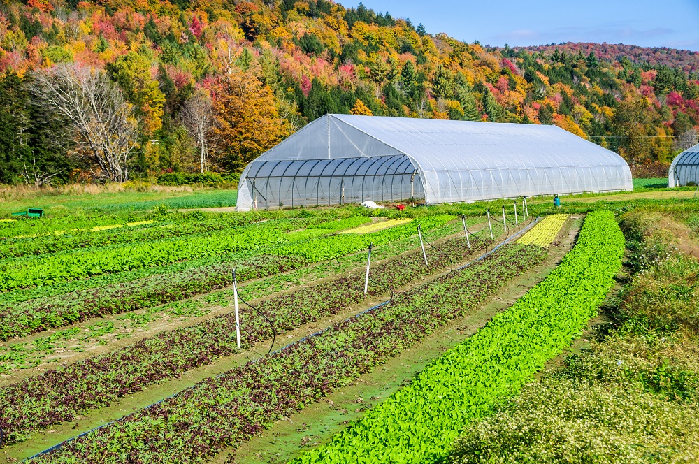 Agriculture, Forest Products, and Commercial Fishing in the northeast: Why lenders shouldn’t overlook its potential