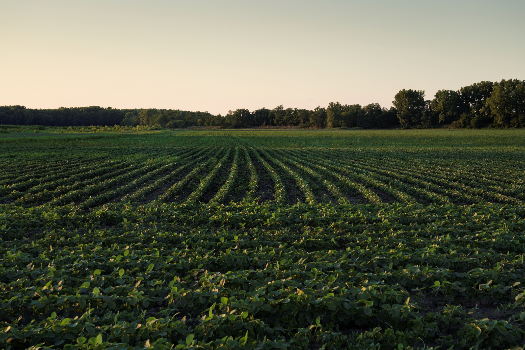 What impact will elevated interest rates have on farmland values?