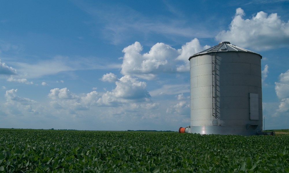 Unlock financial advantages for farmers: The benefits of leasing grain bins