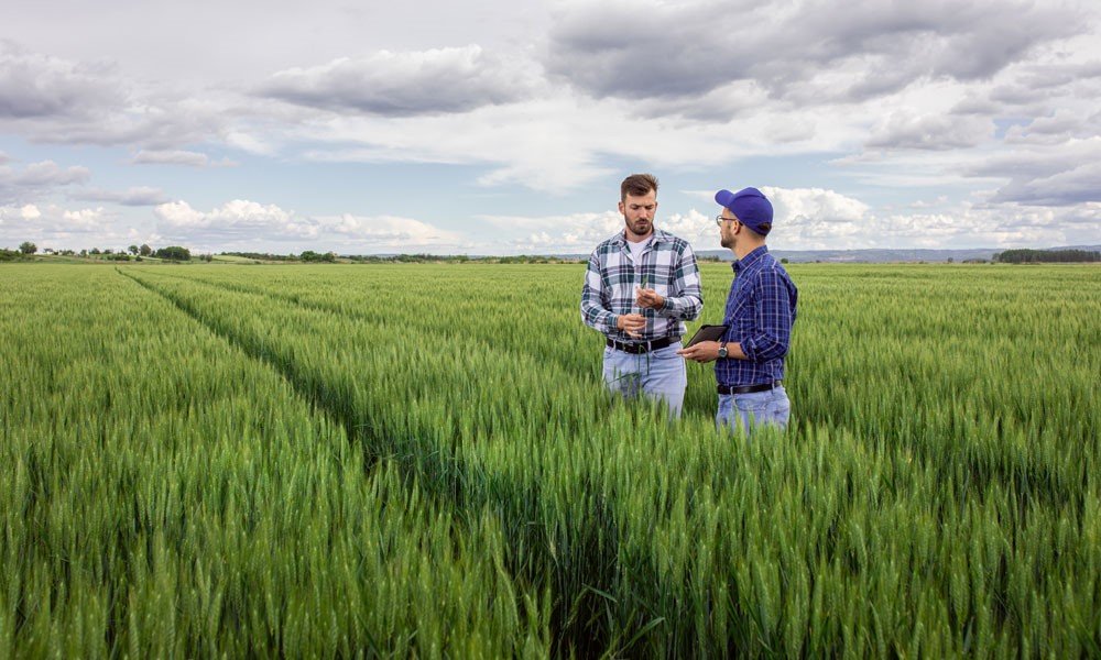 6 offerings from Agri-Access that will transform your lending services